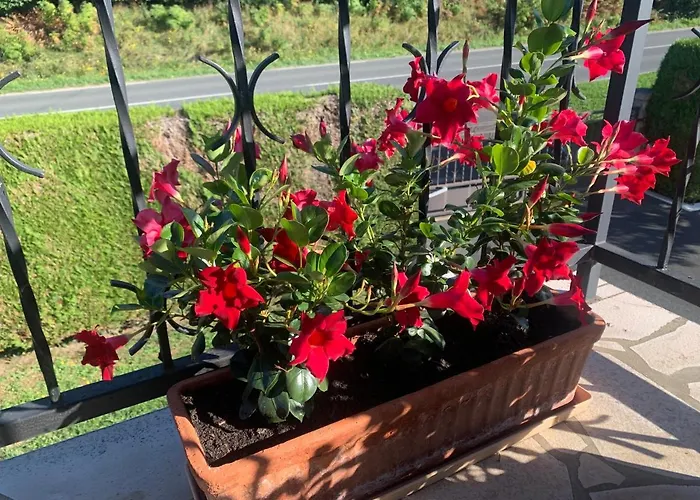 A Louer Dans Maison Apartamento Arcangues